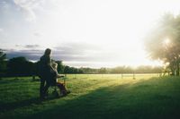 Pflegedienst Wedel - Rollstuhl und Plegedienstpersonal in der Natur